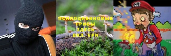 соль ск Аркадак