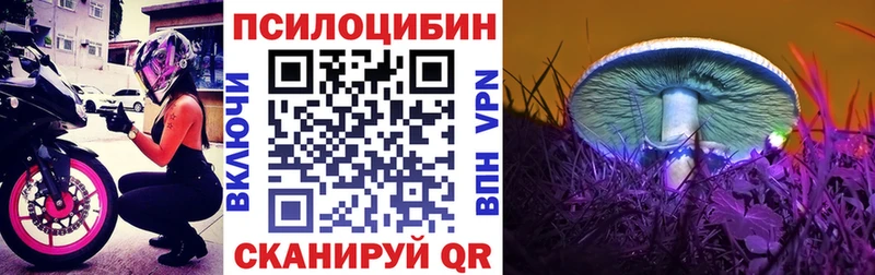 Псилоцибиновые грибы ЛСД  blacksprut зеркало  Верещагино 